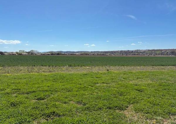 Na predaj pozemok Orná pôda Dežerice 85000 m2