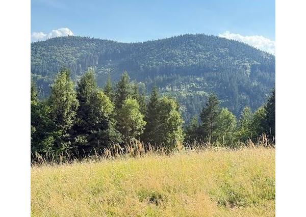 Chata pred dokončením, pozemok 770 m2, Horná Maríková