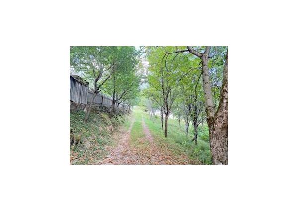 Chata pred dokončením, pozemok 770 m2, Horná Maríková