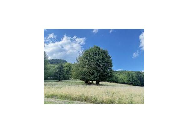 Chata pred dokončením, pozemok 770 m2, Horná Maríková