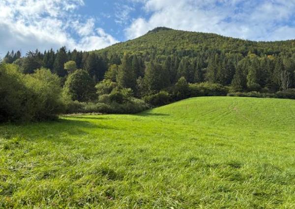 Na predaj Stavebný pozemok Terchová, Vrátna - 3425 m2