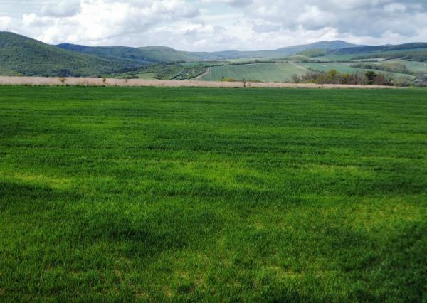 Pozemok 35 355 m² vhodný na chov koní či hospodárstvo – Prašník