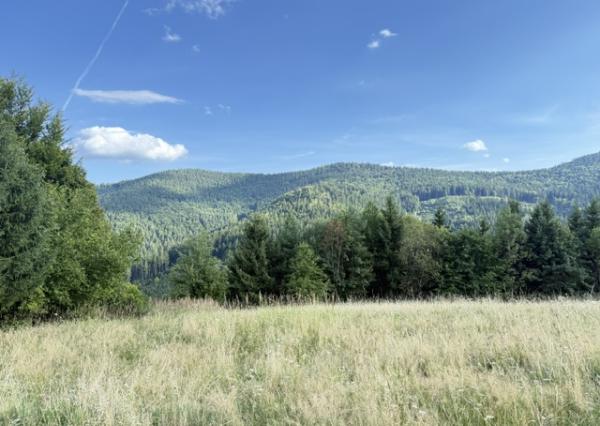 Na predaj Pozemok Oščadnica, Veľká Rača 1229 m2