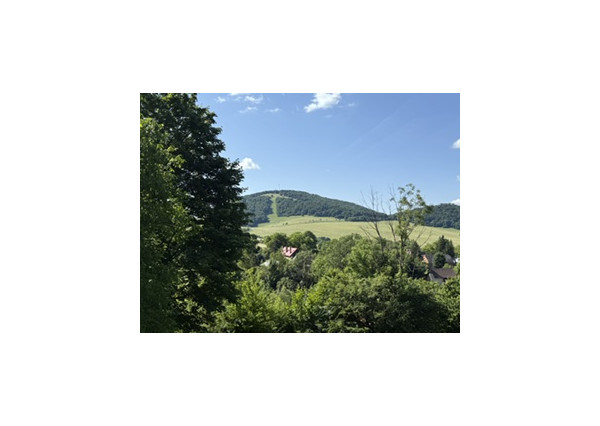KRÁSNY rekreačný pozemok 709 m2 Zliechov - SUPER CENA