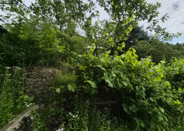 2 chatky, pozemok 563m2 Trenčianske Teplice