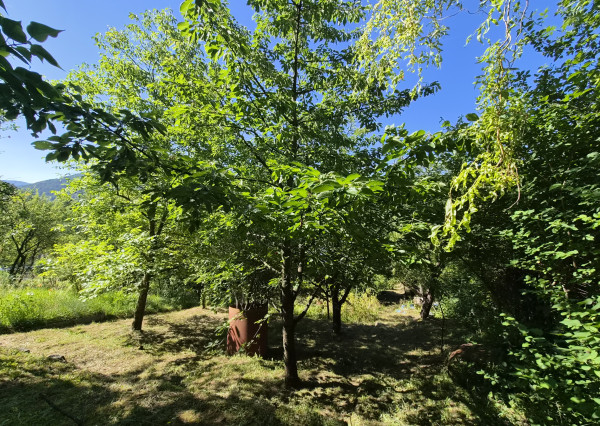 2 chatky, pozemok 563m2 Trenčianske Teplice