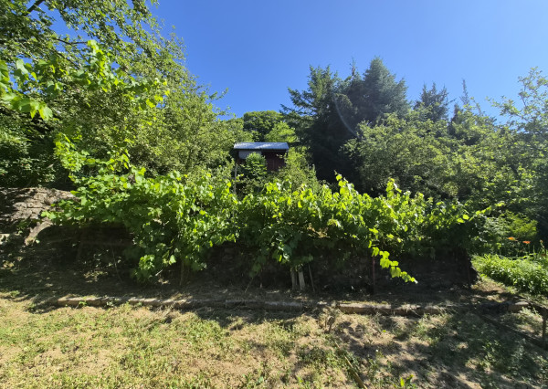 2 chatky, pozemok 563m2 Trenčianske Teplice