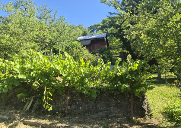 2 chatky, pozemok 563m2 Trenčianske Teplice