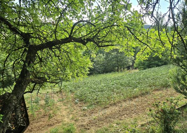 3 izbový byt KŠINNÁ -71m2 - so ZÁHRADOU/ LOGGIA /PIVNICA