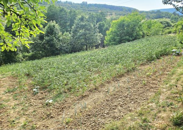 3 izbový byt KŠINNÁ -71m2 - so ZÁHRADOU/ LOGGIA /PIVNICA