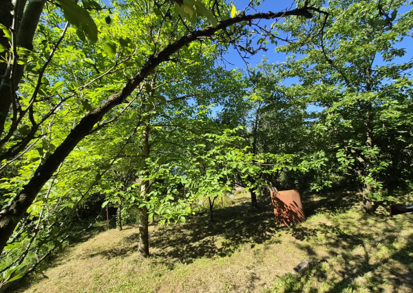 Záhradná chatka Trenčianske Teplice, pozemok 279m2