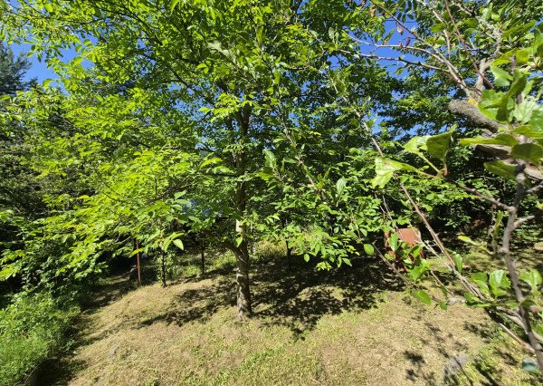 Záhradná chatka Trenčianske Teplice, pozemok 279m2