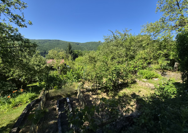 Záhradná chatka Trenčianske Teplice, pozemok 284 m2
