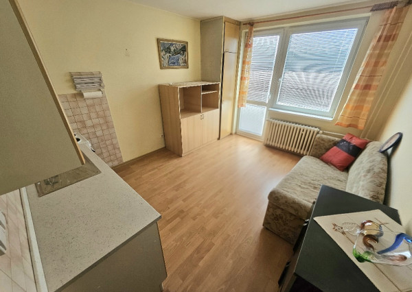 Prenájom 1 izbový byt / CENTRUM/ 42 m2/ BALKÓN/ PIVNICA