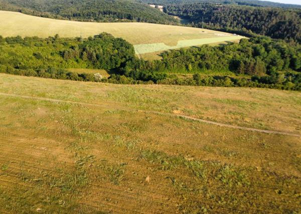 Na predaj investičný pozemok s výmerou 6 672 m² v obci Banka pri Piešťanoch