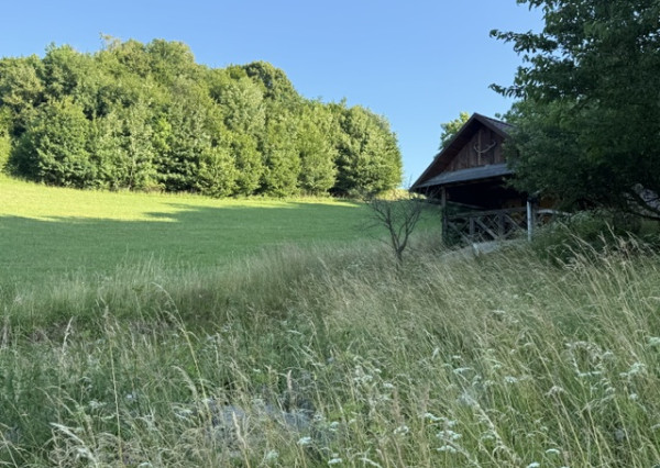 Veľký rekreačný pozemok s chatkou, Streženice (Púchov), 2400 m2