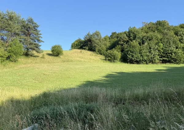 Veľký rekreačný pozemok s chatkou, Streženice (Púchov), 2400 m2