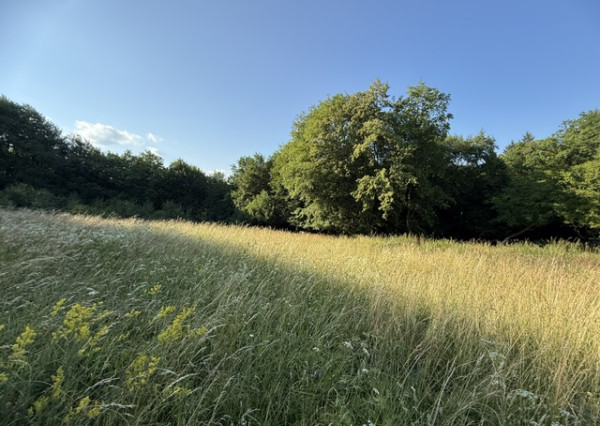 Veľký rekreačný pozemok s chatkou, Streženice (Púchov), 2400 m2
