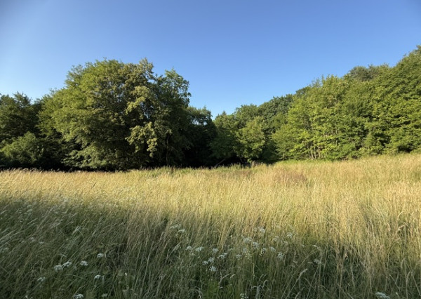 Veľký rekreačný pozemok s chatkou, Streženice (Púchov), 2400 m2