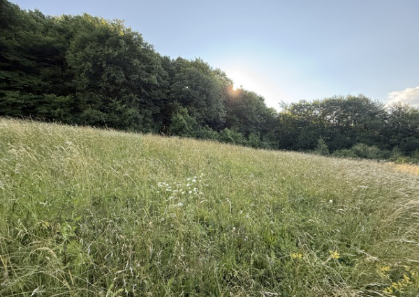 Veľký rekreačný pozemok s chatkou, Streženice (Púchov), 2400 m2