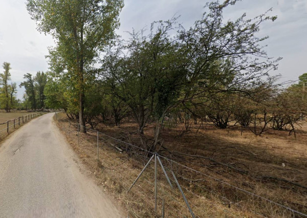 Rekreačný pozemok s výmerou 4 063 m² v atraktívnom prírodnom prostredí – Piešťany