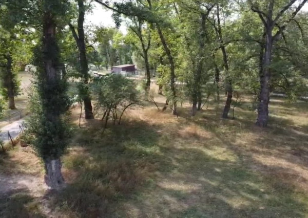Rekreačný pozemok s výmerou 4 063 m² v atraktívnom prírodnom prostredí – Piešťany