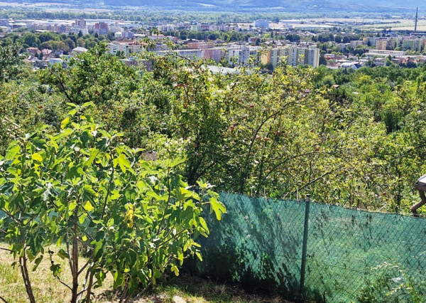 ** Na predaj záhradná chata s príslušenstvom, pozemkom 402 m² a krásnym výhľadom – Nové Mesto n/V **