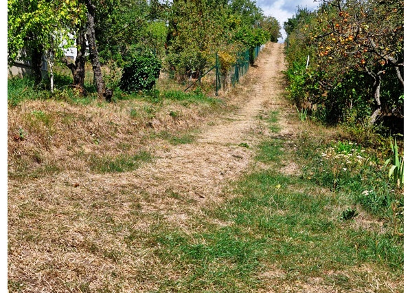 ** Na predaj záhradná chata s príslušenstvom, pozemkom 402 m² a krásnym výhľadom – Nové Mesto n/V **