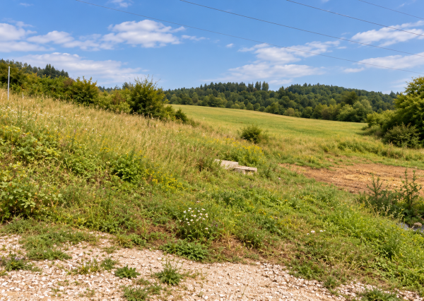Na predaj Chata Horná Breznica, pozemok 5084 m2