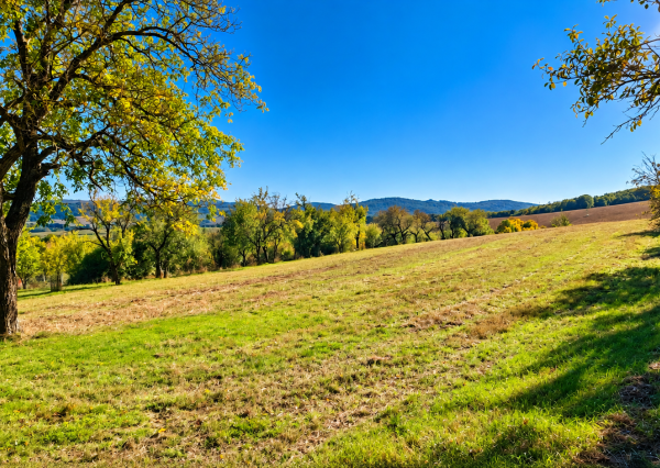 Rekreačný pozemok v obci a predsa tak trochu na samote 1 192 m², Polianka pri Myjave