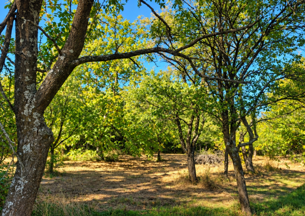 Rekreačný pozemok v obci a predsa tak trochu na samote 1 192 m², Polianka pri Myjave