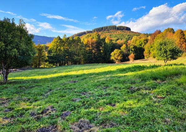 Pozemok 3611m2 v obci Zubák , okres Púchov