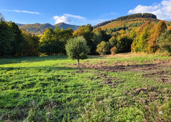 Pozemok 3611m2 v obci Zubák , okres Púchov