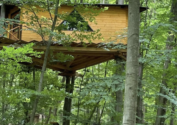 PREDAJ: Unikátny domček v korunách stromov (Treehouse) 35m2 s veľkým pozemkom – Trenčianske Teplice