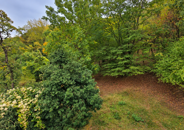 JEDINEČNÁ NEHNUTEĽNOSŤ POD HRADOM TEMATÍN – RODINNÝ DOM S POZEMKAMI O VÝMERE 13 046 m²