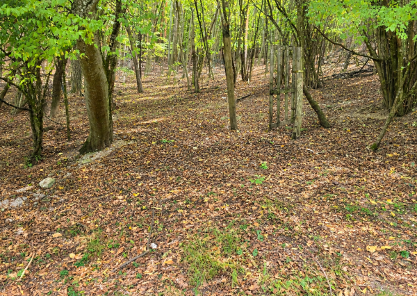 JEDINEČNÁ NEHNUTEĽNOSŤ POD HRADOM TEMATÍN – RODINNÝ DOM S POZEMKAMI O VÝMERE 13 046 m²