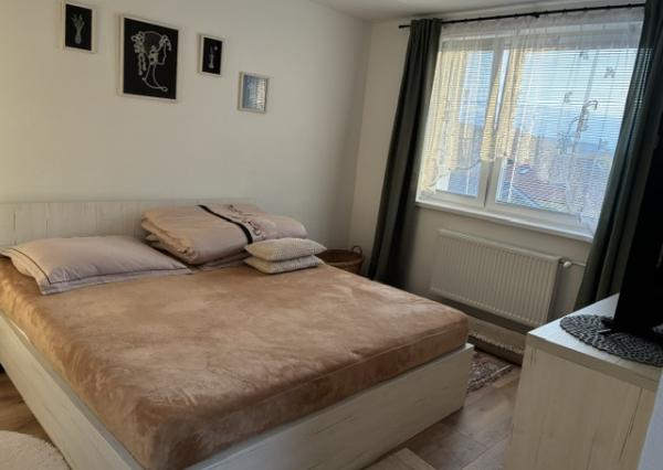 Predám 2 izbový byt Košeca, Kompletná rekonštrukcia, 56 m2
