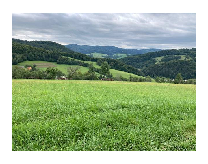 Stavebný pozemok Lysá pod Makytou, časť Dešná 1500 m2