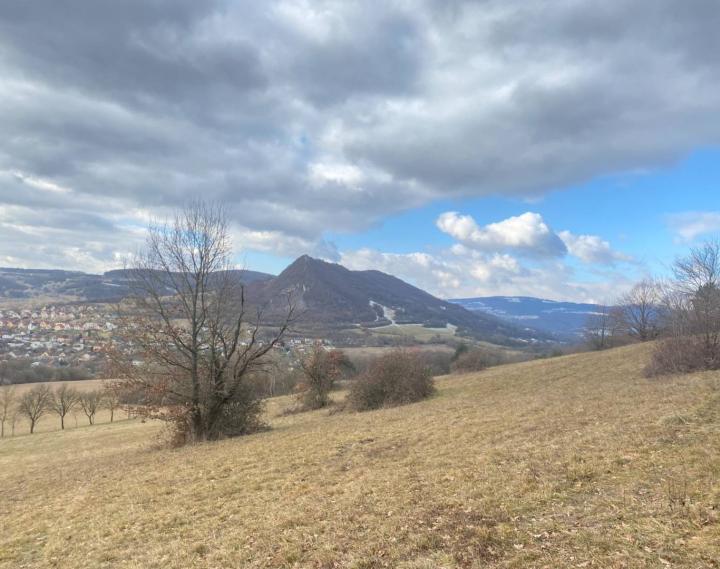 Rekreačný pozemok Dolná Súča - 1482 m2