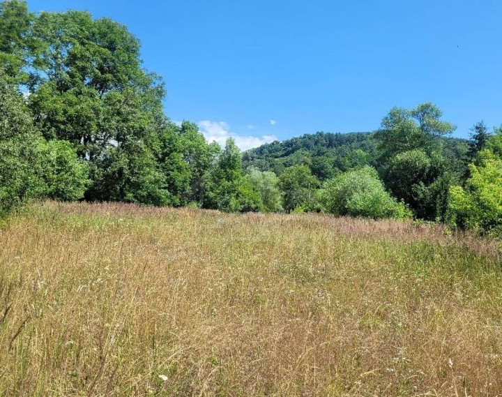 Veľký pozemok 1261 m2 v obci Dohňany