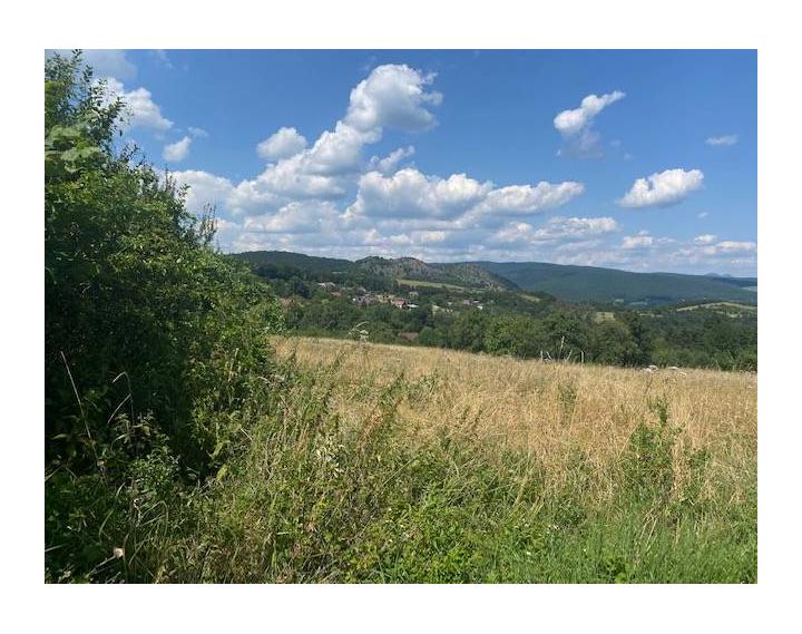 Pozemok na rekreáciu - Dolná Súča - Polníky - 1326 m2