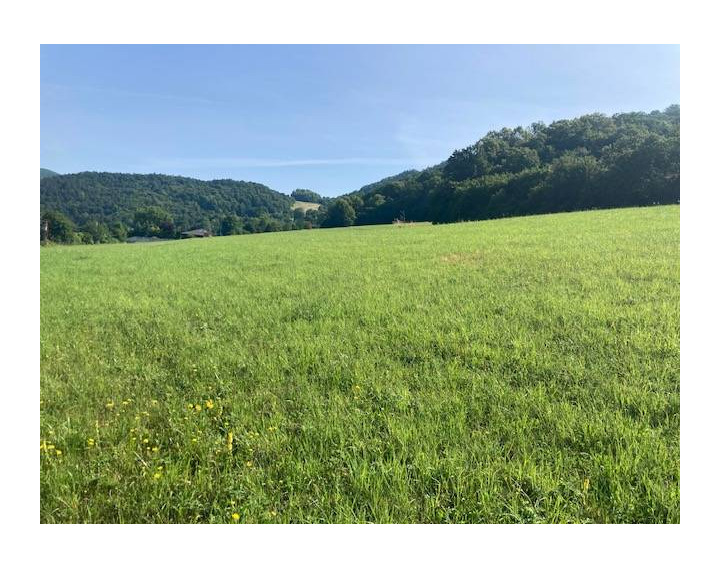 Na predaj Stavebný pozemok Nimnica, 700 m2