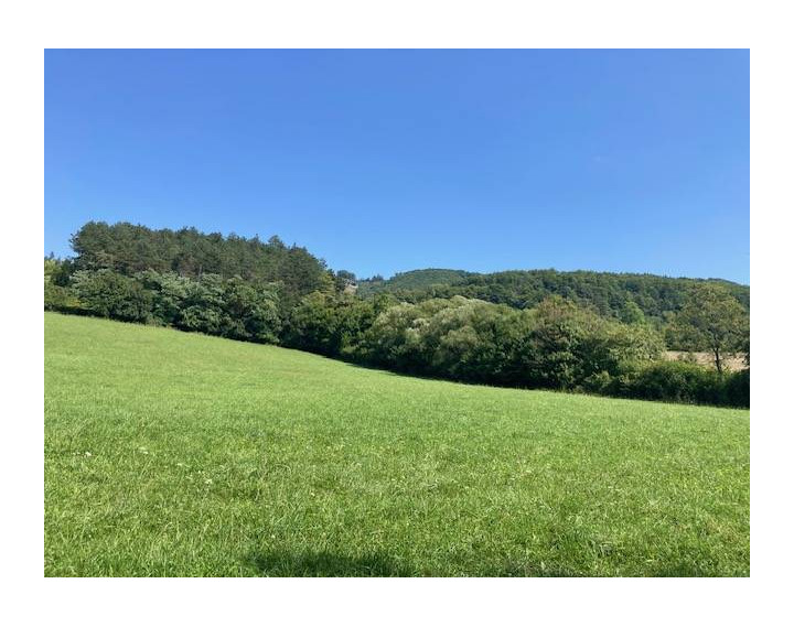Na predaj pozemok Košecké Podhradie, 1022 m2