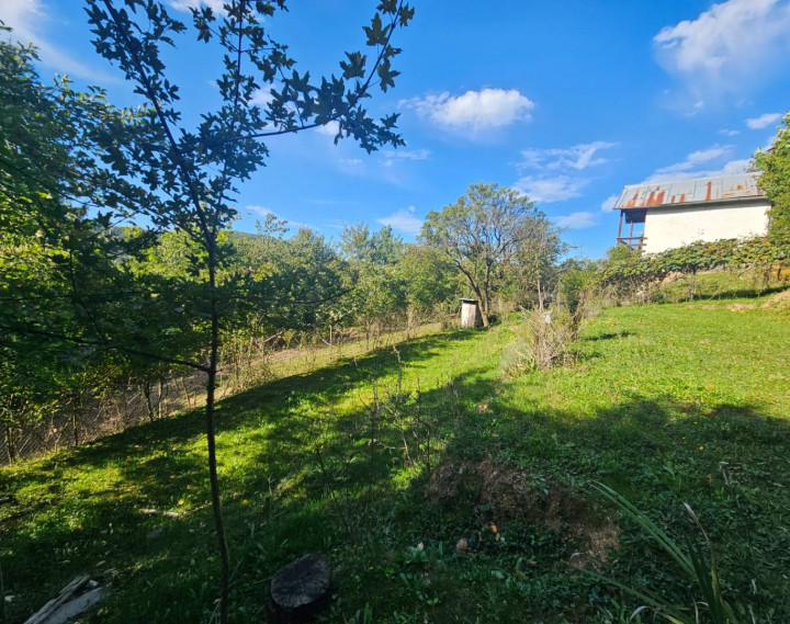 Predaj záhrady, Trenčín