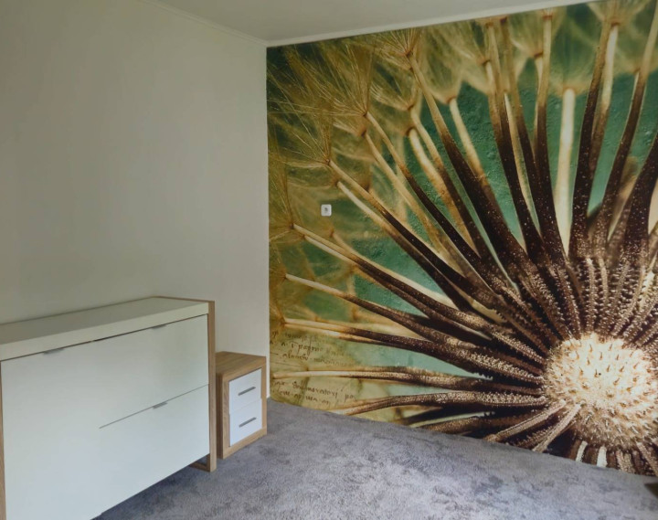 3 izbový dom v obci Lednica -Prenájom 