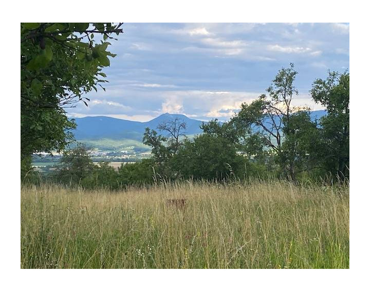 Pozemok s krásnym výhľadom - 3260 m2 - Slávnica (Tlstá hora)