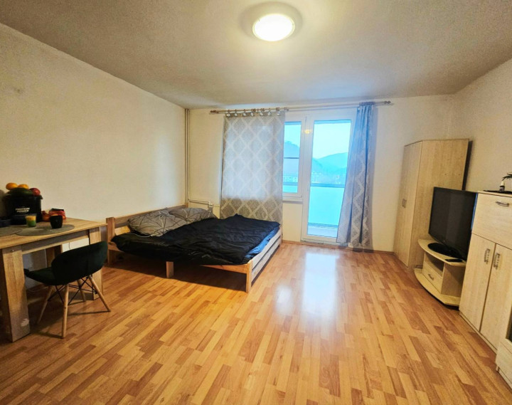 Slnečná,priestranná garsónka v kúpeľnom meste Trenčianske Teplice 