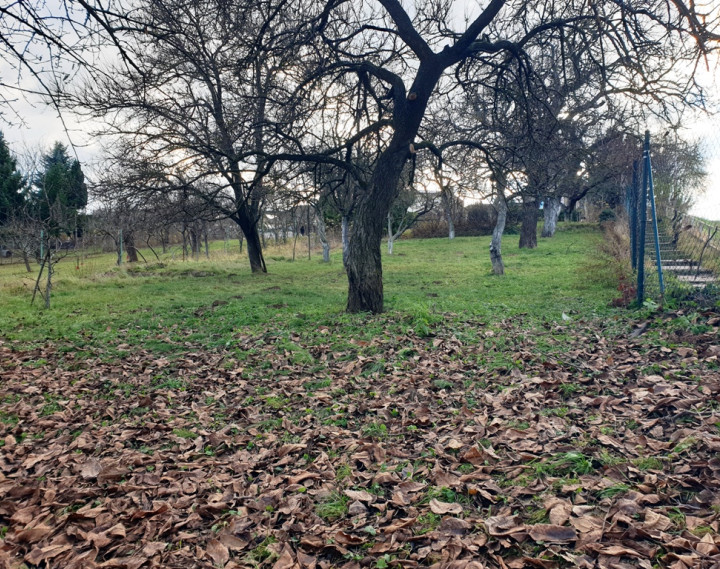 Na predaj záhrada o výmere 784 m2 - Nové Mesto n/V