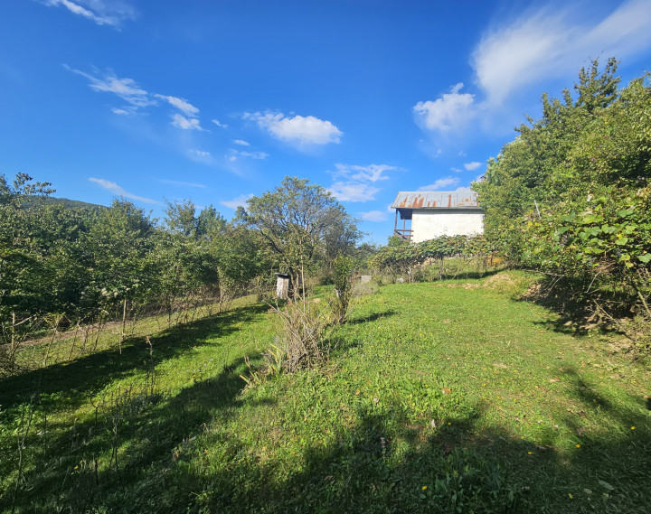 Záhrada v kúpeľnom meste Trenčianske Teplice