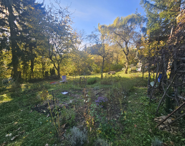 Záhrada s chatkou v kúpeľnom meste Trenčianske Teplice, 305 m2